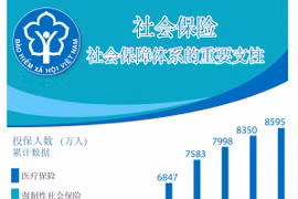 图表新闻：社会保险——社会保障体系的重要支柱