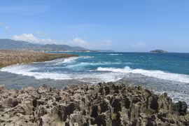 越南旅游：探索红礁的荒野之美（组图）
