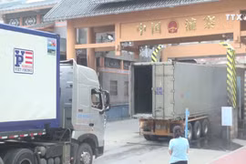 谅山省努力解决新青口岸货物拥堵现象