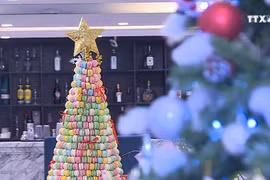 河内市力推绿色低碳 环保度过圣诞节