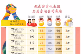 越南体育代表团历届东运会的成绩