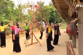 努力保护泰族群舞的长久活力