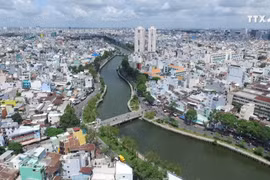 2019年越南人口和住房普查正式结果对外公布
