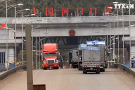 通过老街口岸的农产品出口量保持较好发展态势