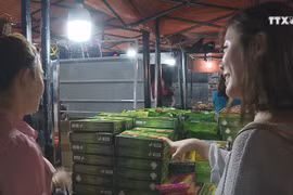 帮助岘港市商贩提高外语能力