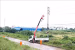 海阳省电力公司为电线杆系统安装防雷设备。图自越通社