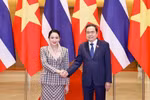 越南国会主席陈青敏会见泰国总理佩通坦。图自越通社