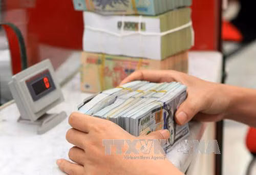 15日越盾兑美元中心汇率保持不变 ảnh 1