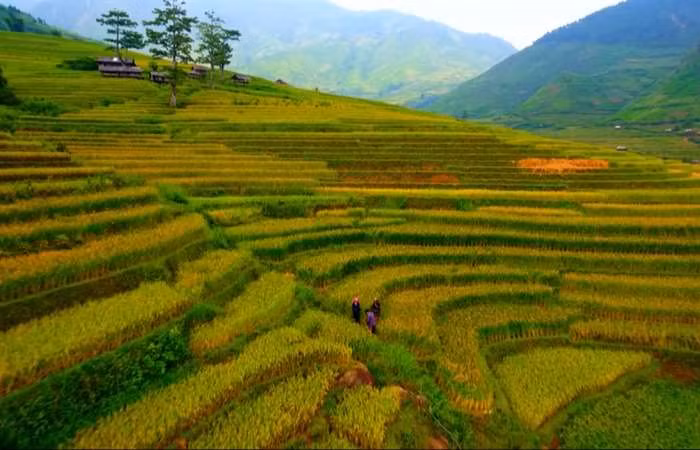  越南旅游业努力加强国内外旅游目的地的对接 ảnh 1