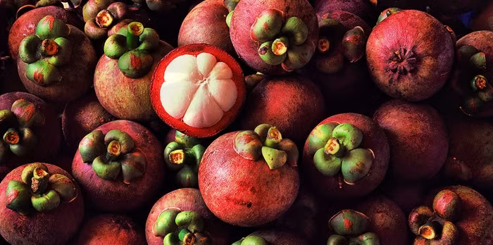 越南山竹将向中国输出 ảnh 1