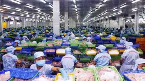  芹苴市商品出口呈现猛增之势 ảnh 1