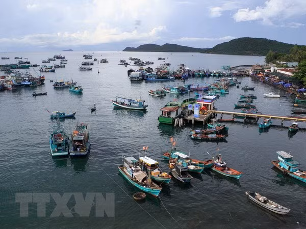 越南推进海洋资源高效利用 实现海洋经济可持续发展 ảnh 1 越南推进海洋资源高效利用 实现海洋经济可持续发展 ảnh 1