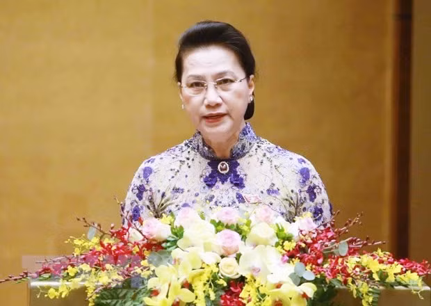 越南14届国会：为业已取得的成果而自豪 ảnh 1