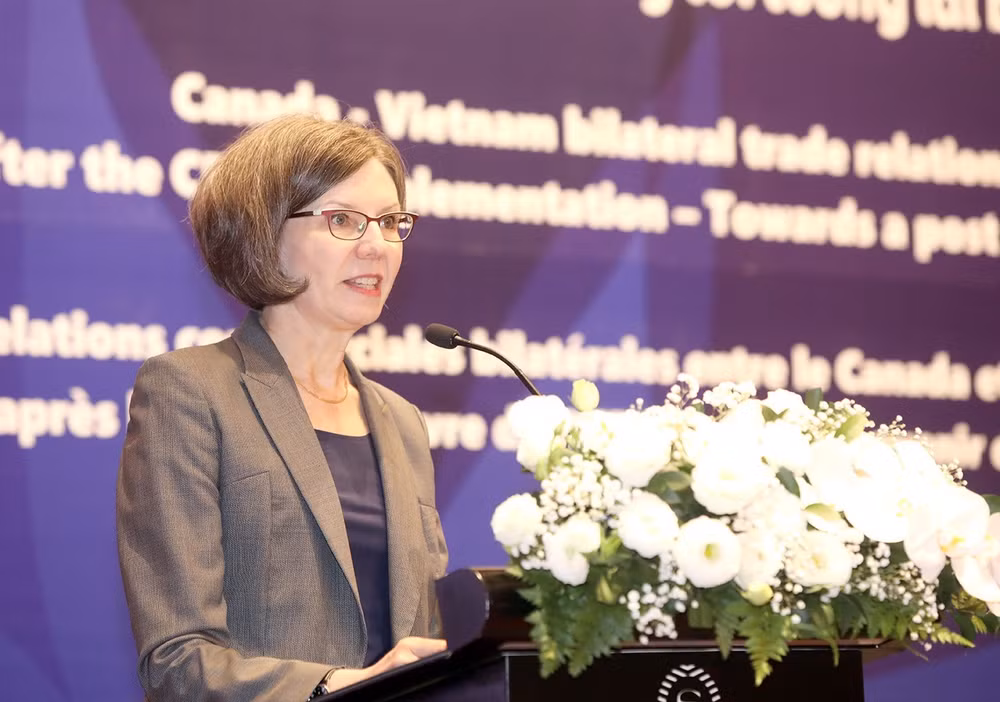 CPTPP协定：为越南与加拿大贸易多样性提供有力支撑 ảnh 2