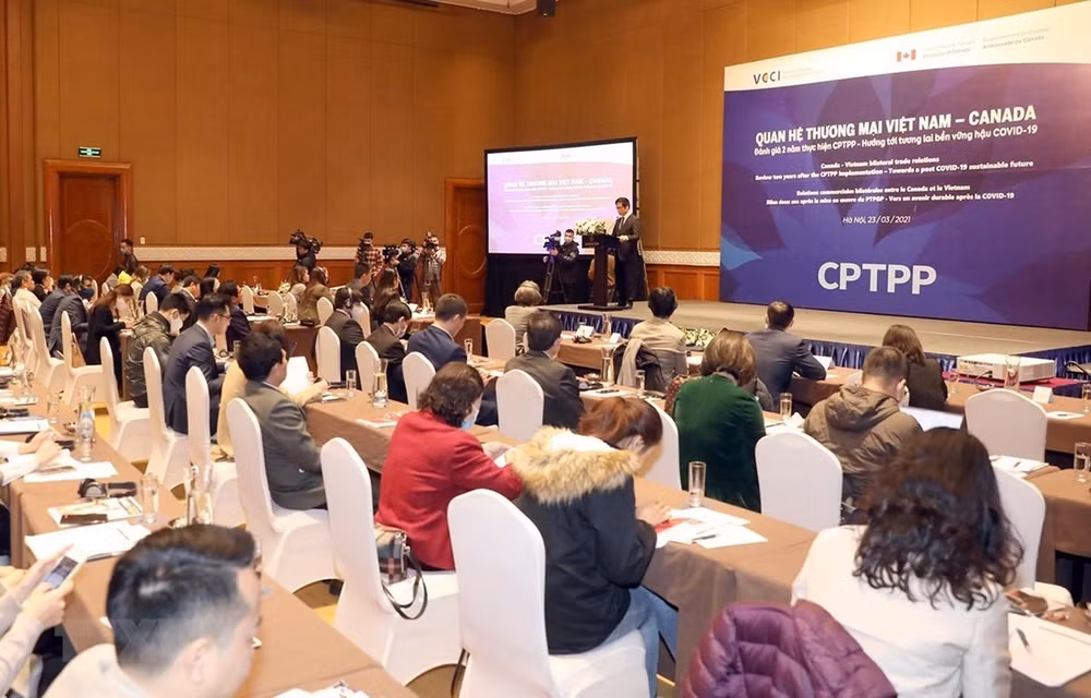 CPTPP促进越南与加拿大贸易额猛增 ảnh 2