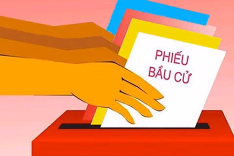 为越南第十五届国会和各级人民议会选举成功举行做好准备 ảnh 1