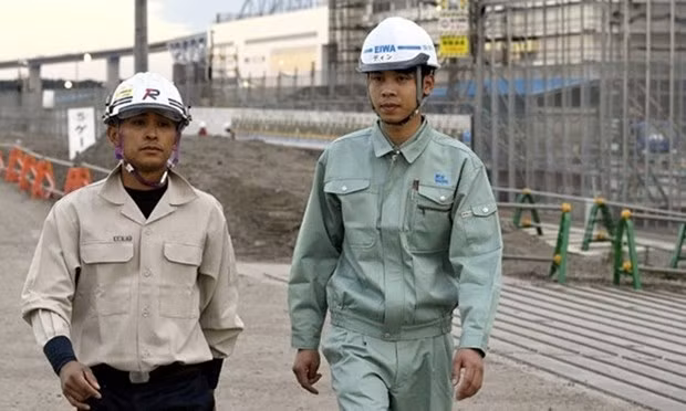 4名越南工人荣获日本“优秀外籍建筑工人”称号 ảnh 1