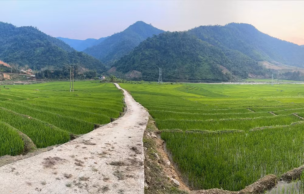政府总理就促进边界地区发展颁布指示 ảnh 1