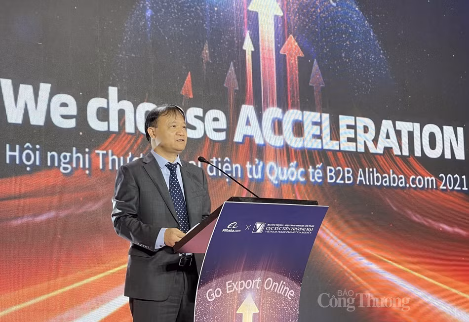 越南与Alibaba.com合作 为越南企业发展跨境电商出口业务提供支持 ảnh 2
