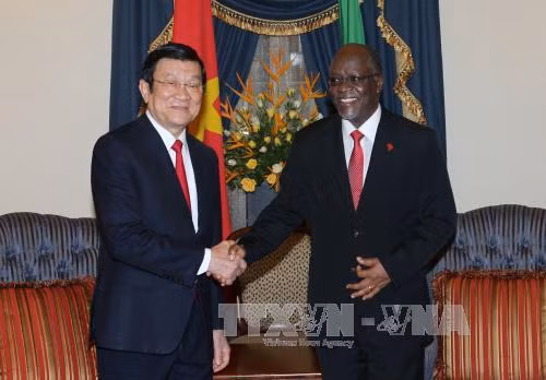 越南国家主席张晋创与坦桑尼亚总统马古富力举行会谈 ảnh 2