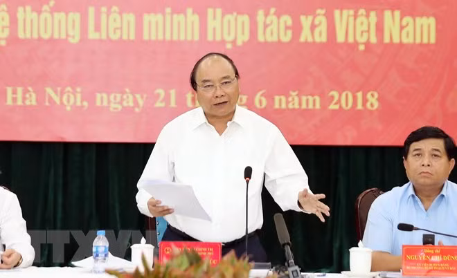 加大《合作社法》实施力度 ảnh 1