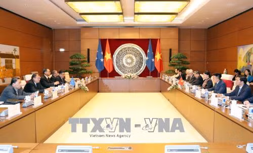 越南国会主席阮氏金银与密克罗尼西亚联邦国会议长韦斯利·西米纳举行会谈 ảnh 1