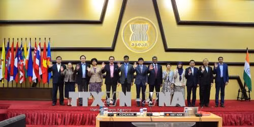 越南共同主持召开第18次东盟印度联合合作委员会会议 ảnh 2