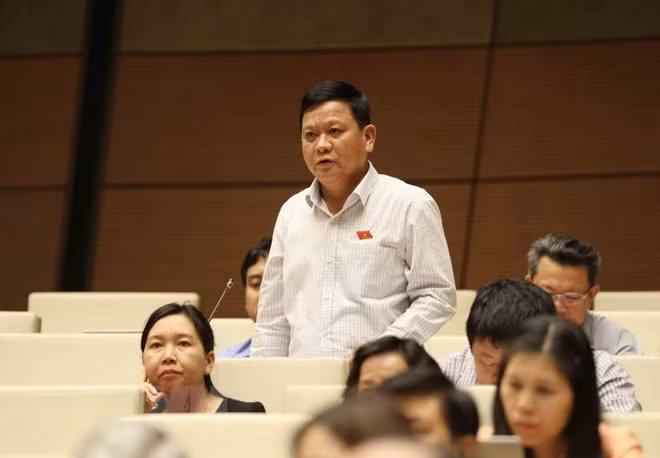 越南第十四届国会第五次会议：质询和答复质询活动质量日益提高 ảnh 1