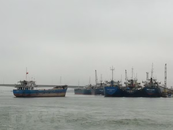 政府副总理郑廷勇就广治省海陵县美水码头投资项目作指示 ảnh 1