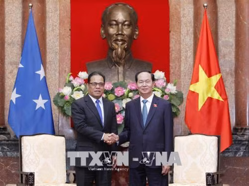 越南国家主席陈大光会见密克罗尼西亚联邦国会议长西米纳 ảnh 1