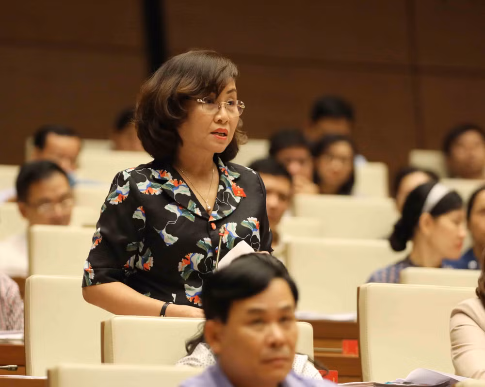 越南第十四届国会第五次会议：国会代表表决通过两个法案 ảnh 1