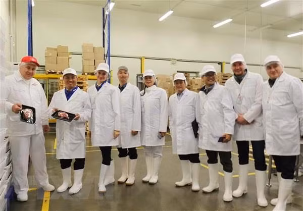 俄罗斯布良斯克州承诺为越南企业创造便利条件 ảnh 1 俄罗斯布良斯克州承诺为越南企业创造便利条件 ảnh 1
