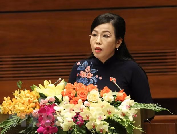 越南第十四届国会第七次会议：选民们所提出的2290条意见依法得到处理 ảnh 1