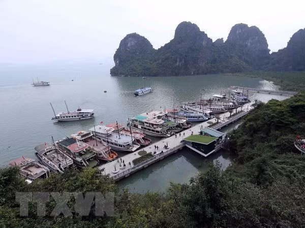新冠大流行后吉婆岛旅游业复苏 ảnh 1