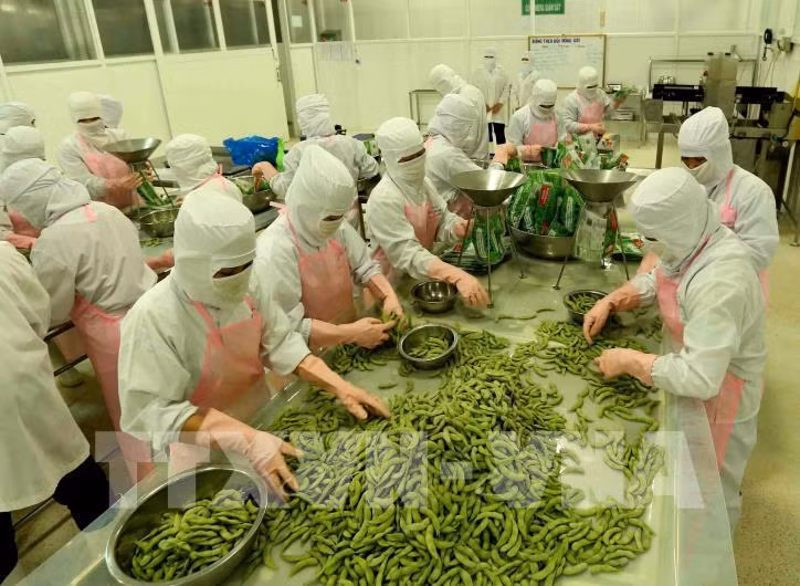 2022年第一季度安江省出口呈增长势头 ảnh 1