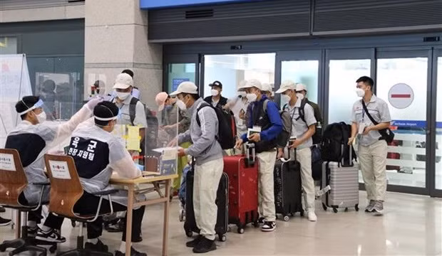 韩国豁免隔离检疫 继续延长越南劳工合同 ảnh 2