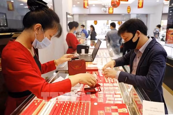 20日上午越南国内黄金价格每两下降55万越盾 ảnh 1