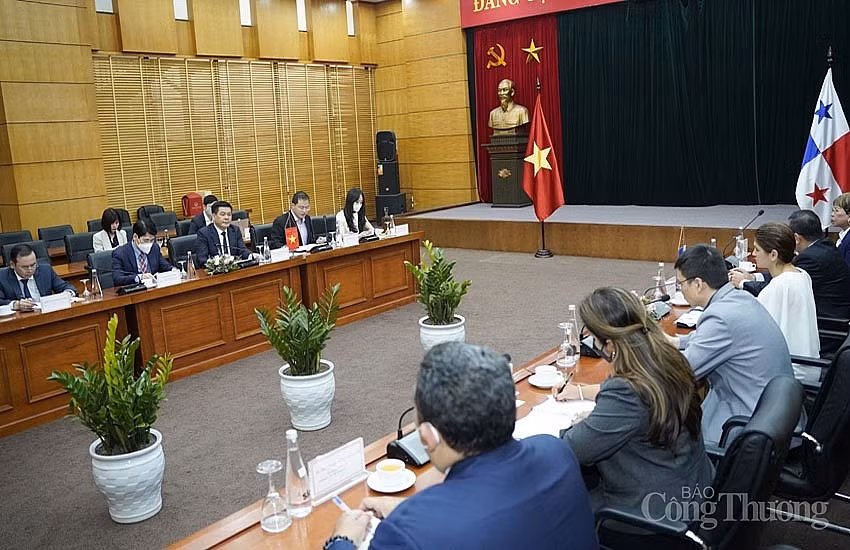 越巴加强经贸投资领域的合作关系 ảnh 2
