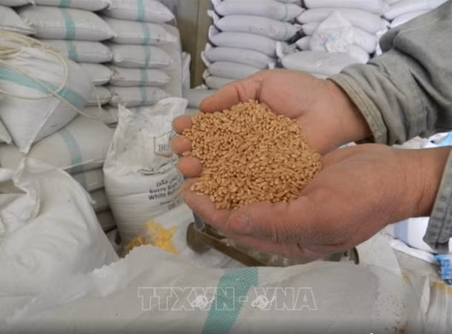 为粮食安全采取应急措施 ảnh 1