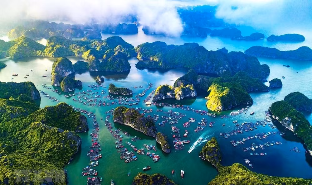越南努力推动绿色海洋经济发展中的国际合作力度 ảnh 1