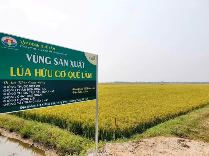 越南中部地区扩大有机农业种植面积 ảnh 1