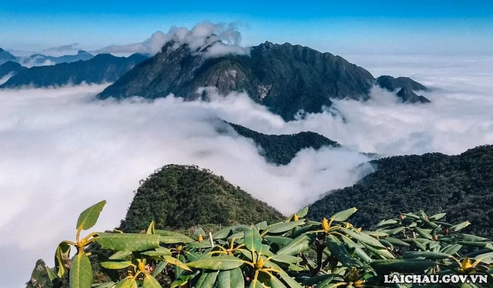 探索莱州省峰峦雄伟的山峰 ảnh 5