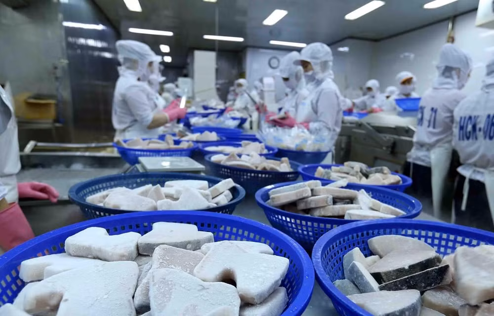 英国专家高度评价越南的国际一体化和投资机遇 ảnh 1 英国专家高度评价越南的国际一体化和投资机遇 ảnh 1