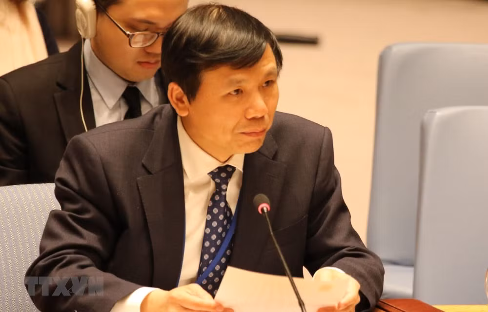 越南大力支持国际法律进程 ảnh 1
