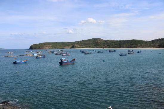 越南举办国家海洋经济核算体系测试结果咨询研讨会 ảnh 1