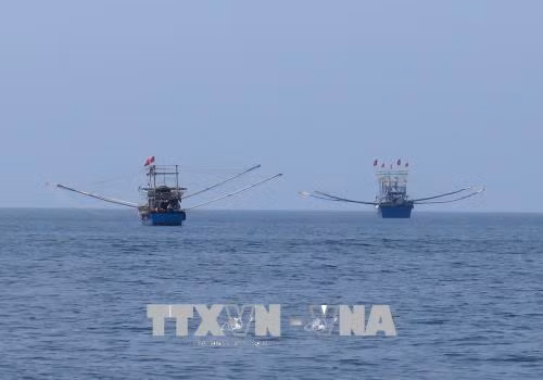 越南海洋战略实施10周年：实现海洋经济发展新突破 ảnh 1