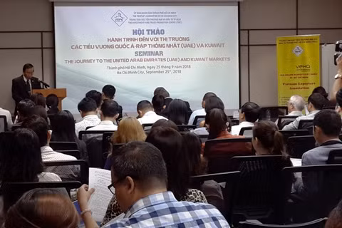 胡志明市促进与阿联酋的对接 ảnh 1
