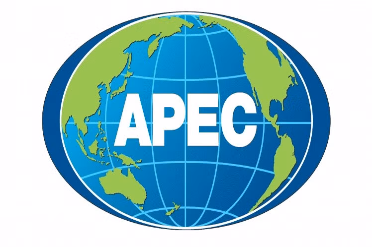 APEC部长会议探讨进一步开拓市场和加快区域经济一体化进程的措施 ảnh 1