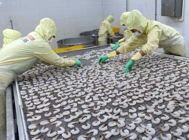 今年前10月越南水产出口额增长6.2% ảnh 1