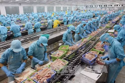 芹苴市商品进出口金额猛增 ảnh 1